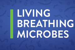 LBM-Labs_FB-Cover_blue-w-bugs-bg