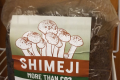 shimeji-CO2